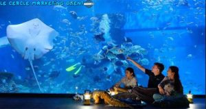 Jakarta Aquarium: Pemasaran Berkelanjutan Wisata Laut